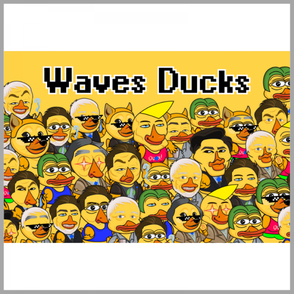 Juego NFT Waves Duck
